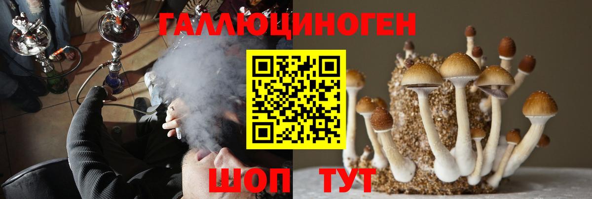 Галлюциногенные грибы Psilocybe  Вход с VPN  Галлюциногенные грибы прущие грибы  Ижевск 